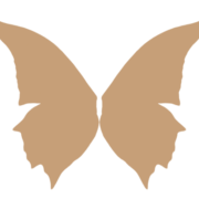 Enchanted Fairies Wings